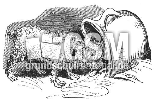 Hahnenkampf sw 15.jpg